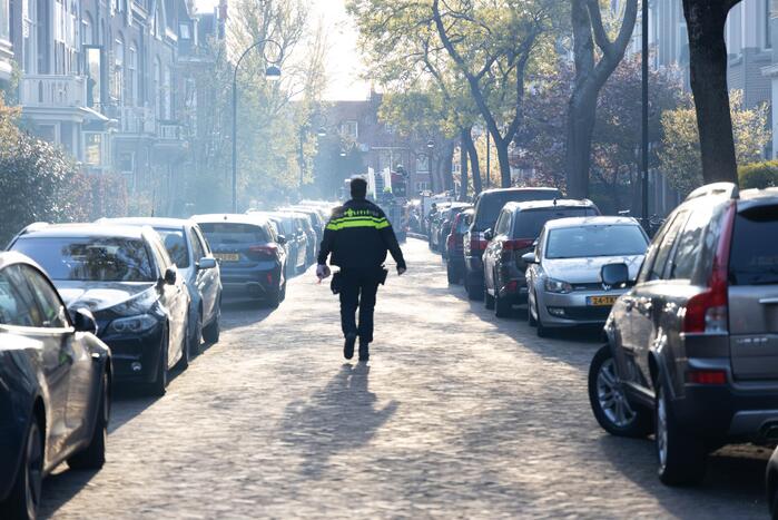 Schoorsteenbrand snel onder controle