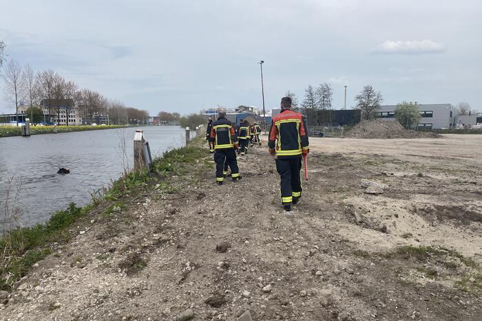 Brandweer heeft handen vol door reddingsactie