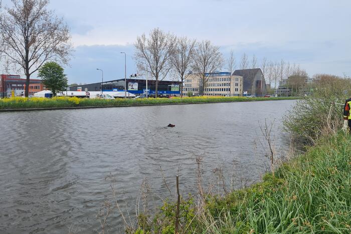 Brandweer heeft handen vol door reddingsactie