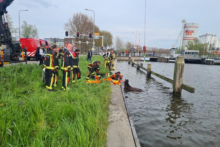 Brandweer heeft handen vol door reddingsactie