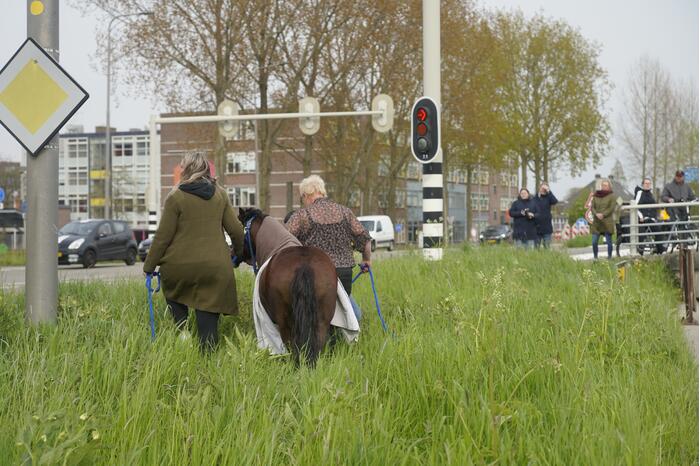 Brandweer heeft handen vol door reddingsactie