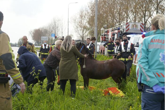 Brandweer heeft handen vol door reddingsactie