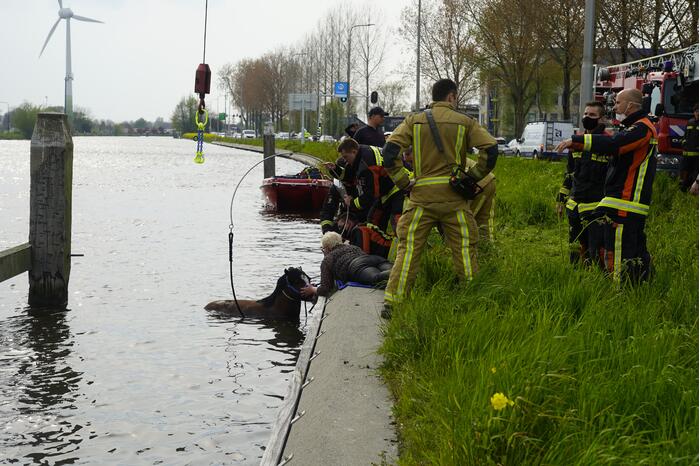Brandweer heeft handen vol door reddingsactie
