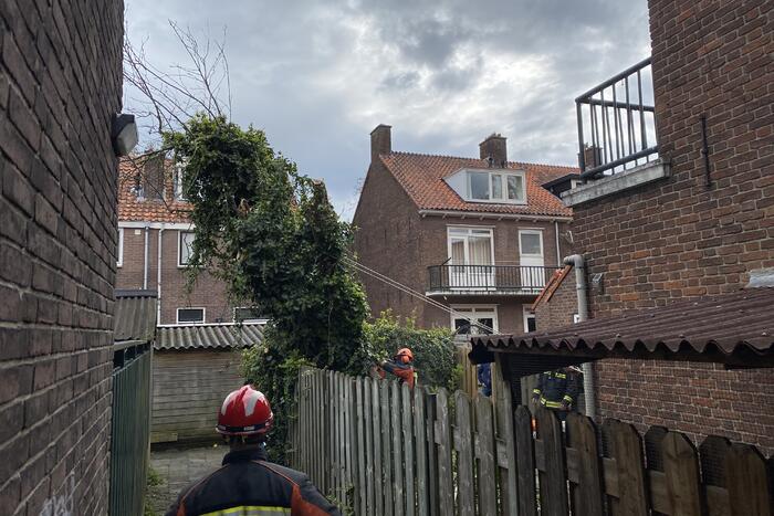 Boom omgewaaid in tuin