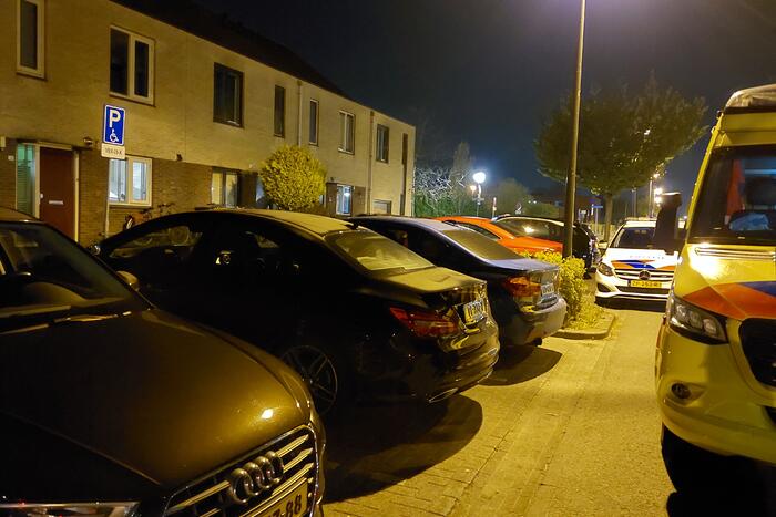 Persoon gebeten door hond