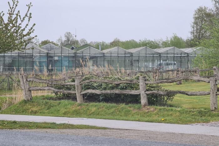 Gewonde bij steekincident