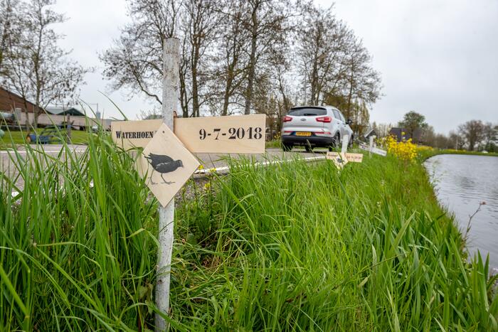 Kruizen langs weg voor doodgereden dieren