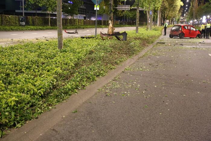 Automobilist knalt op boom na wilde politieachtervolging