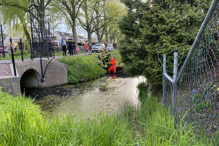 Persoon rijdt met scootmobiel het water in