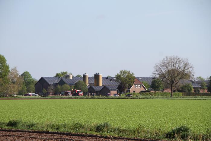 Grote brand in stal met kippen