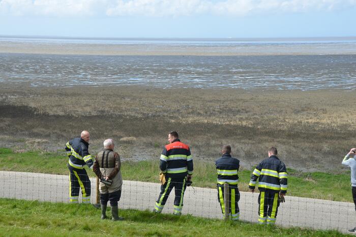 Reddingsactie voor ree in de problemen bij De Zwarte Haan