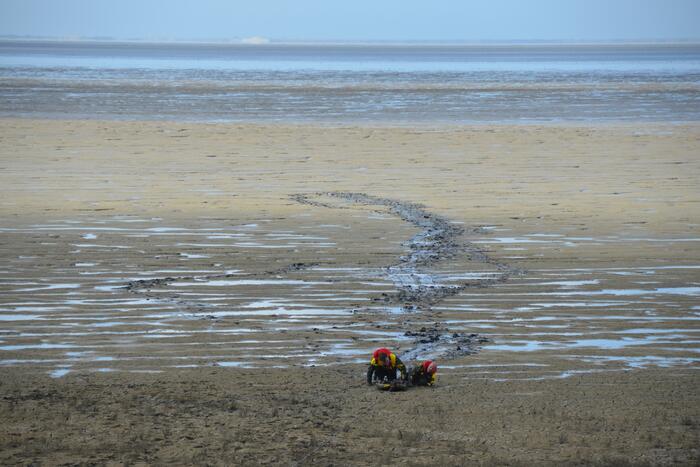 Reddingsactie voor ree in de problemen bij De Zwarte Haan