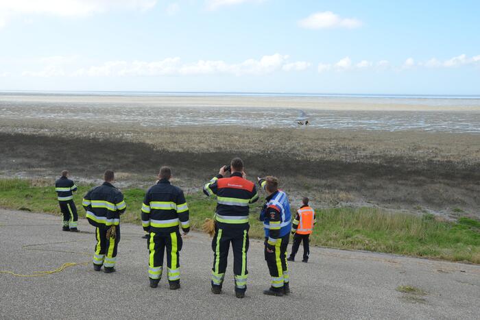 Reddingsactie voor ree in de problemen bij De Zwarte Haan