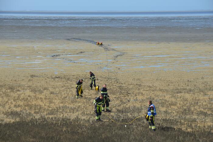 Reddingsactie voor ree in de problemen bij De Zwarte Haan