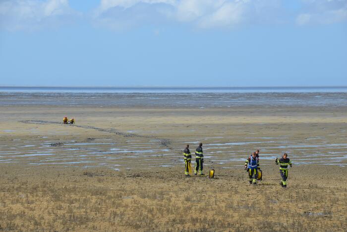 Reddingsactie voor ree in de problemen bij De Zwarte Haan