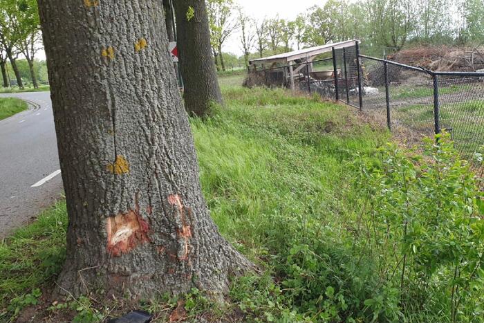 Motor zwaar beschadigd door botsing tegen boom