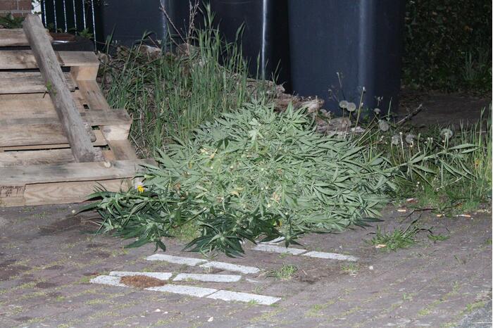 Wietkwekerij aangetroffen na wateroverlast in woning