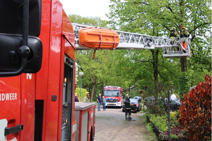 Brandweer zaagt boom in stukken