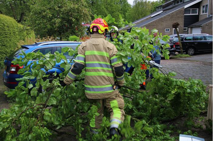 Brandweer zaagt boom in stukken