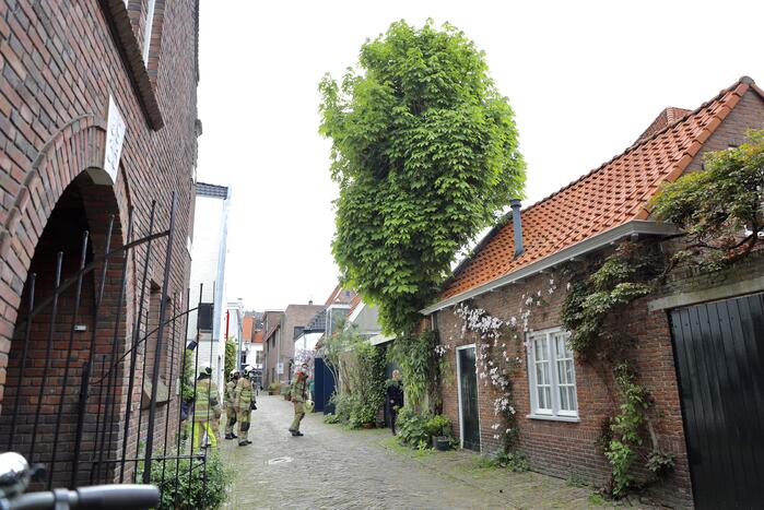 Brandweer ingezet voor kat in de boom