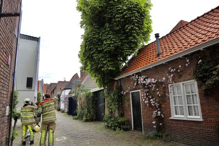 Brandweer ingezet voor kat in de boom