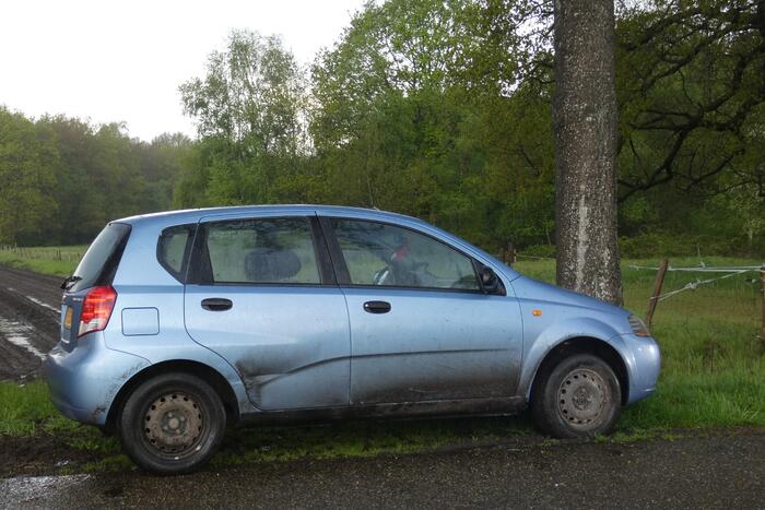 Auto tegen boom tot stilstand