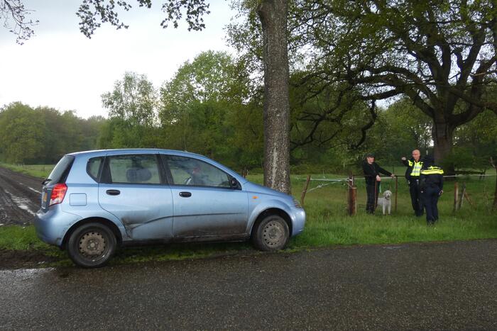 Auto tegen boom tot stilstand