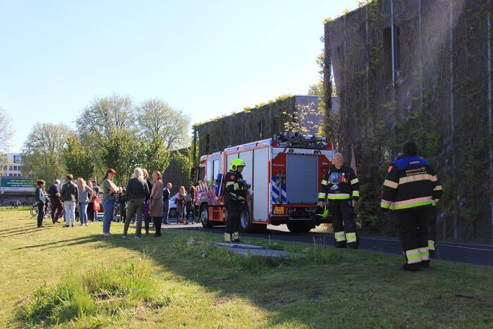 Amerikaweg Nieuws Haarlem 