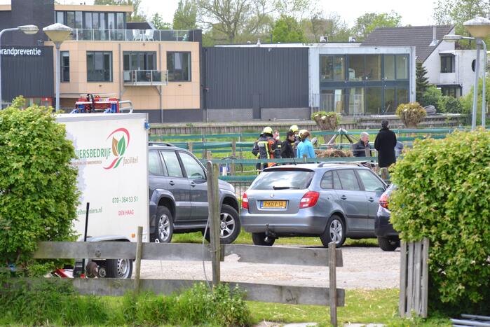 Brandweer bevrijdt paard Zorgmanege Grenzeloos