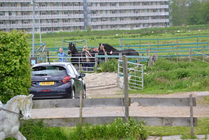 Brandweer bevrijdt paard Zorgmanege Grenzeloos