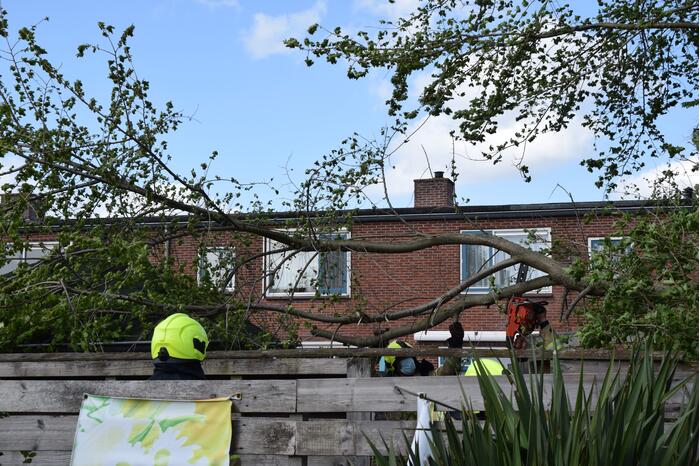 Brandweer zaagt gebroken tak in stukken