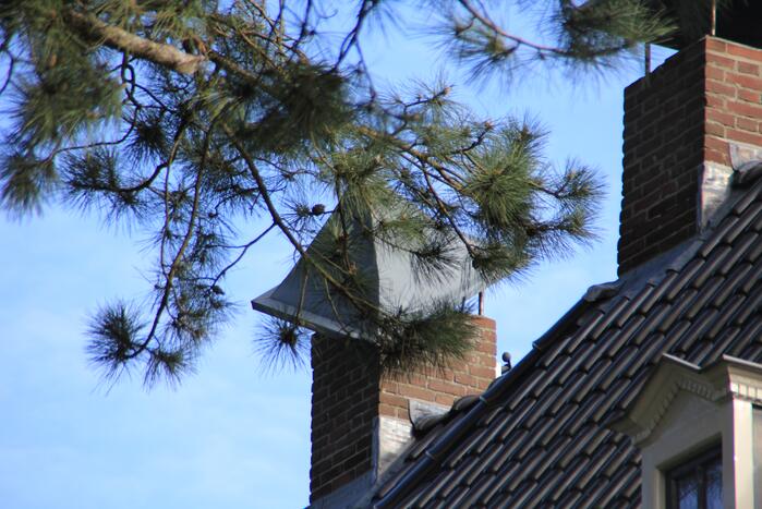 Brandweer zet schoorsteenkap terug