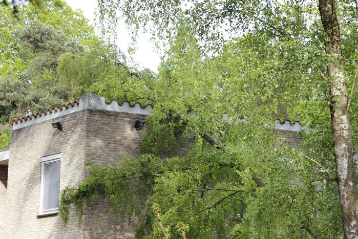 Boom waait om tegen woning