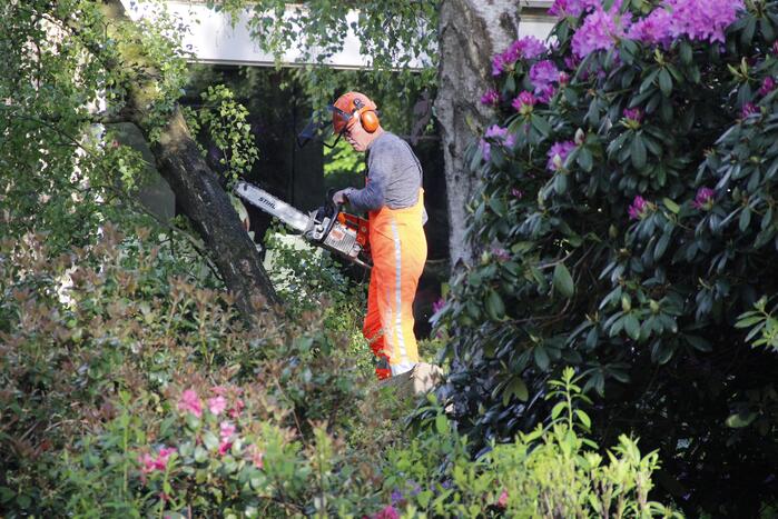 Boom waait om tegen woning