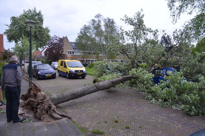 Boom waait om en valt op een auto