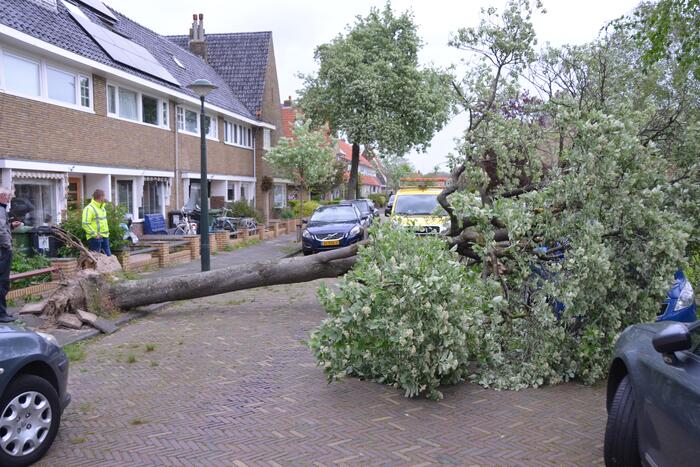 Boom waait om en valt op een auto