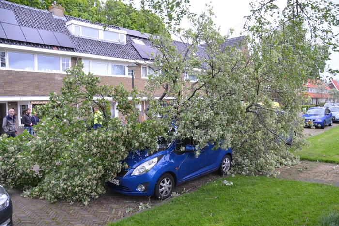 Boom waait om en valt op een auto