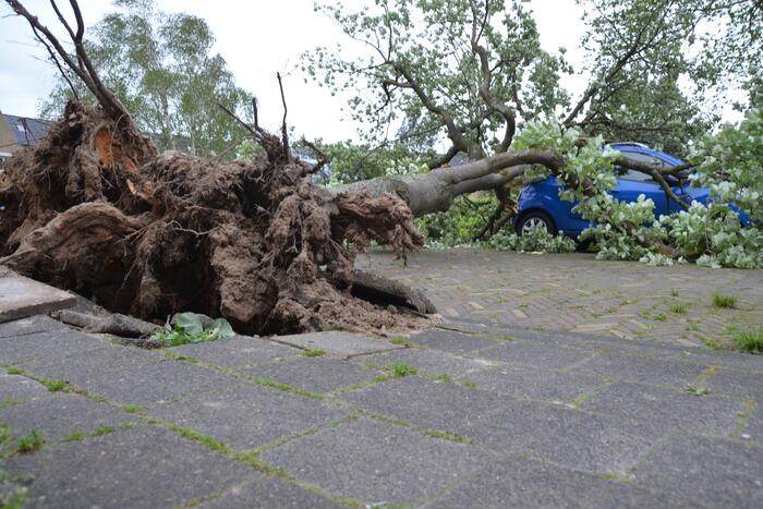 Boom waait om en valt op een auto