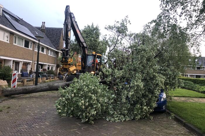 Boom waait om en valt op een auto