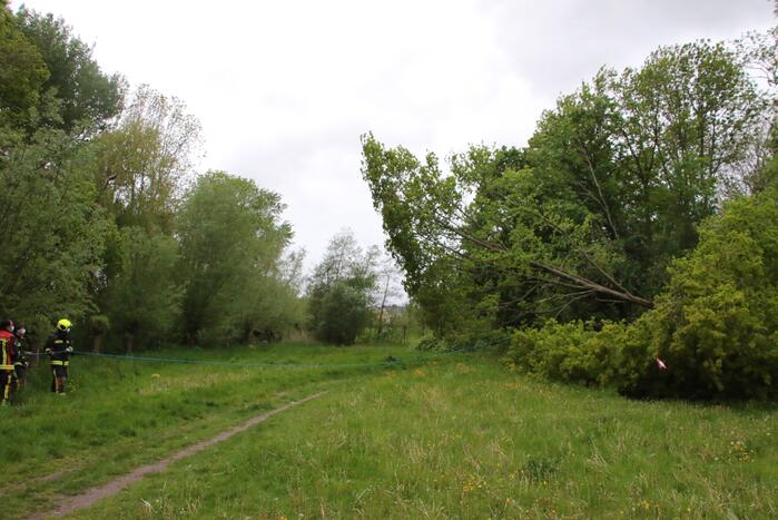 Brandweer zaagt gevaarlijke boom om