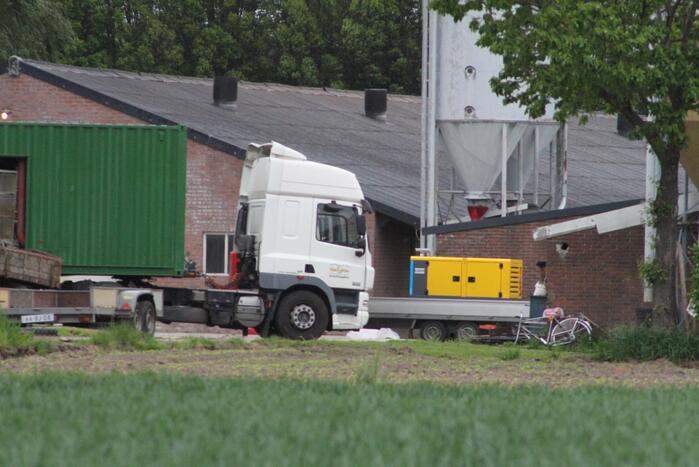 Ruiming na vaststelling vogelgriep