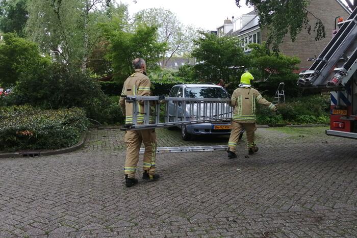 Brandweer haalt loshangende tak uit boom