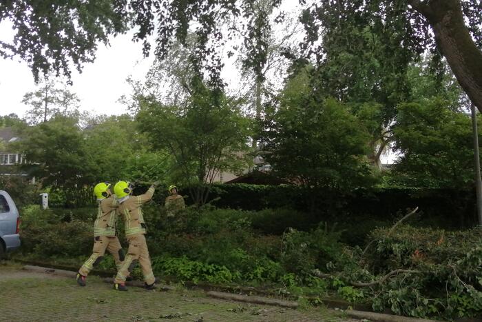 Brandweer haalt loshangende tak uit boom