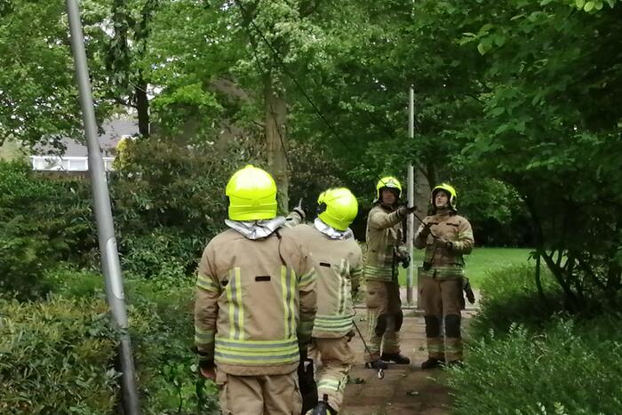 Brandweer haalt loshangende tak uit boom
