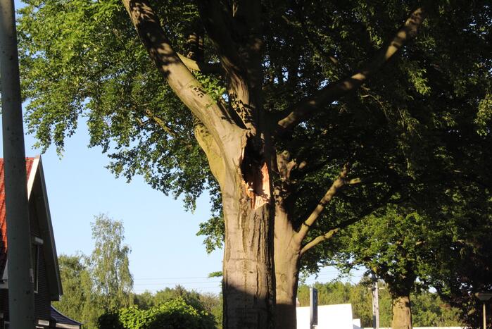 Gevaarlijk hangende tak verwijderd