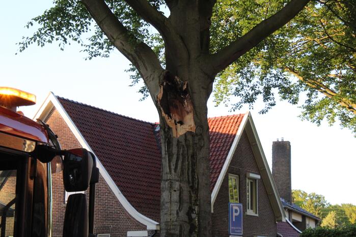 Gevaarlijk hangende tak verwijderd
