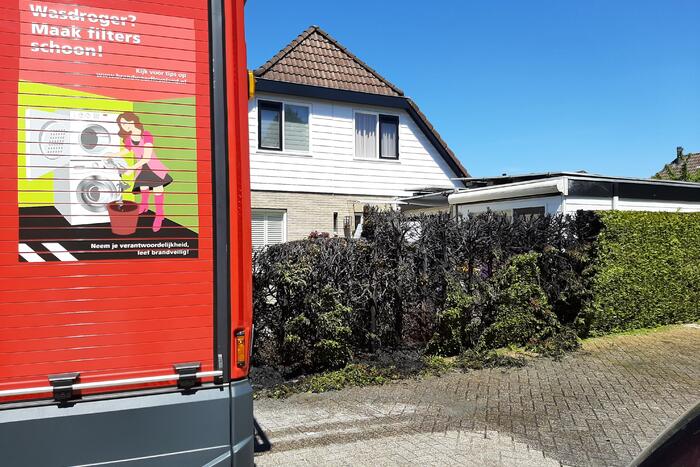 Coniferenhaag vat vlam