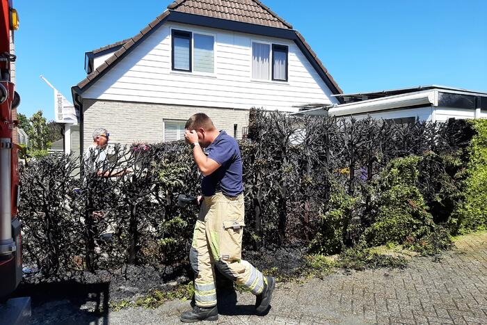 Coniferenhaag vat vlam