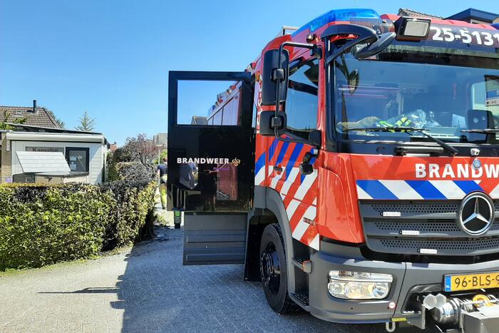 Coniferenhaag vat vlam