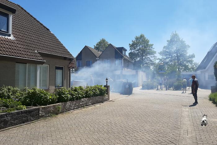 Coniferenhaag vat vlam